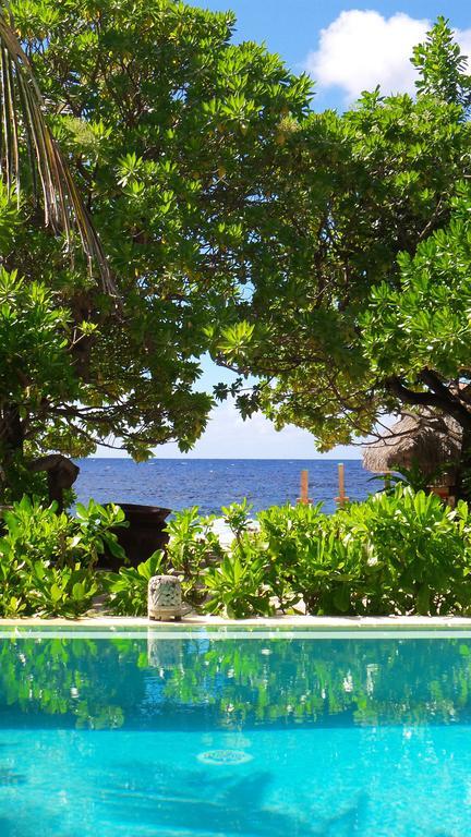 Green Lodge Moorea Temae Екстериор снимка